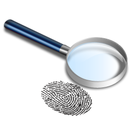 Blog Search